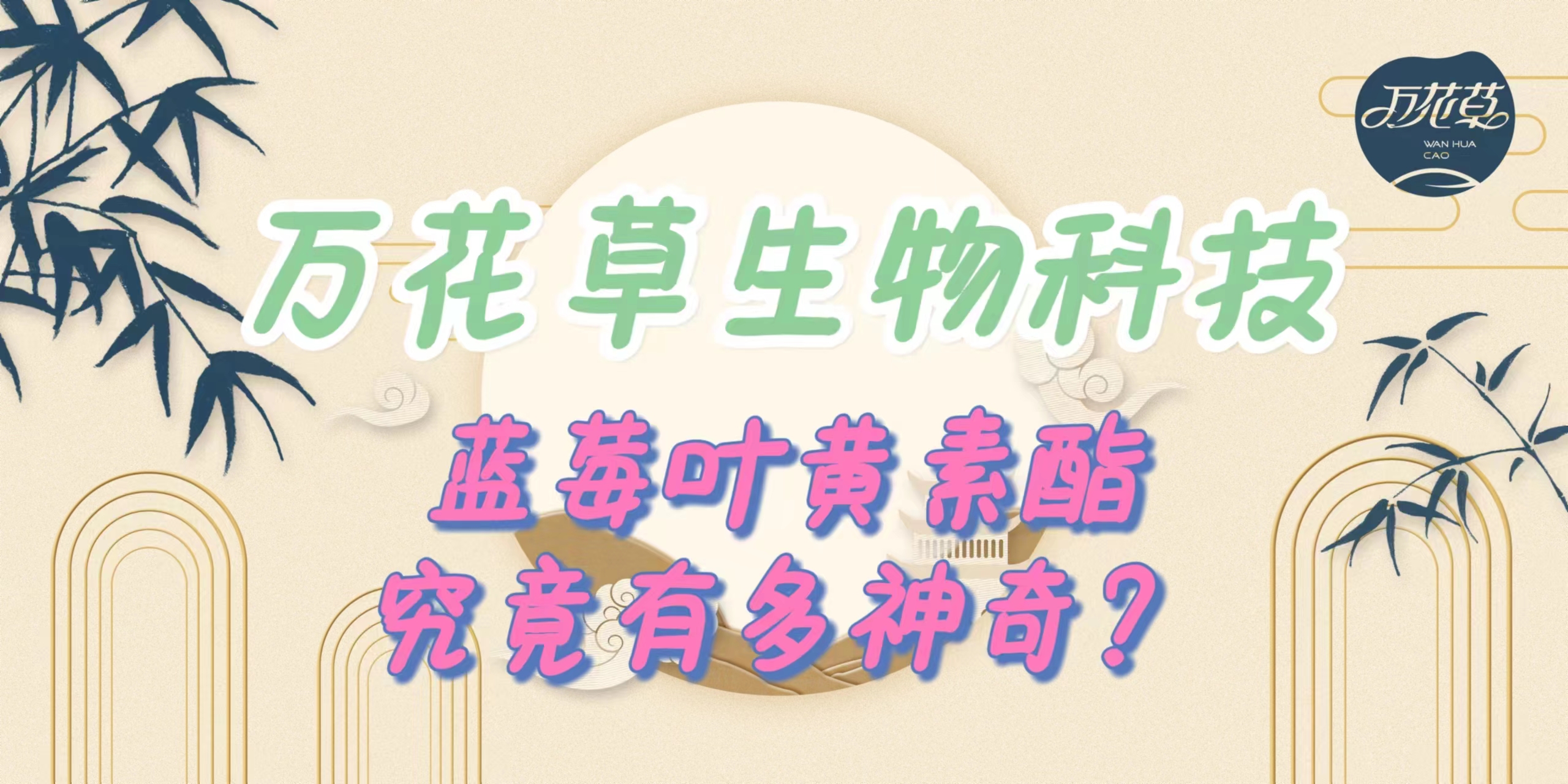 升級(jí)配方，重磅出擊，萬(wàn)花草藍(lán)莓葉黃素酯究竟有多神奇？