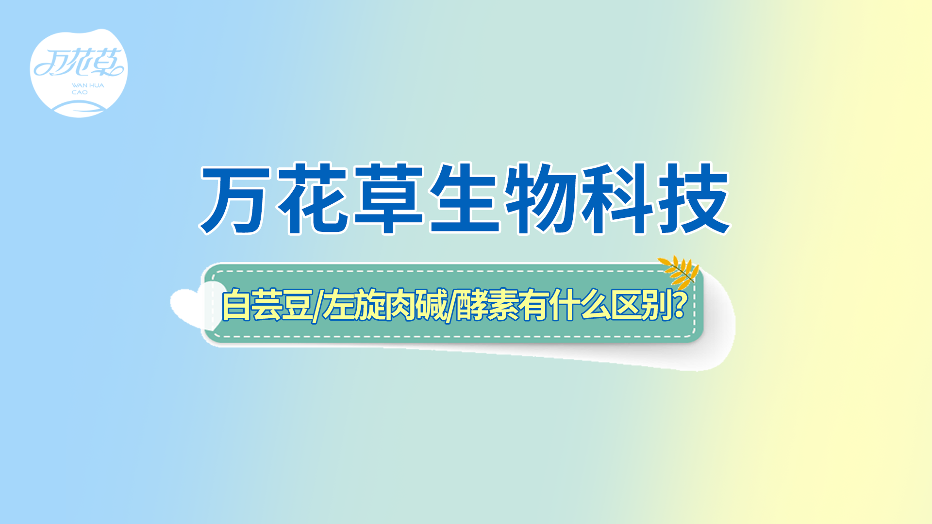 白蕓豆、左旋肉堿、嗨吃酵素有什么區(qū)別？