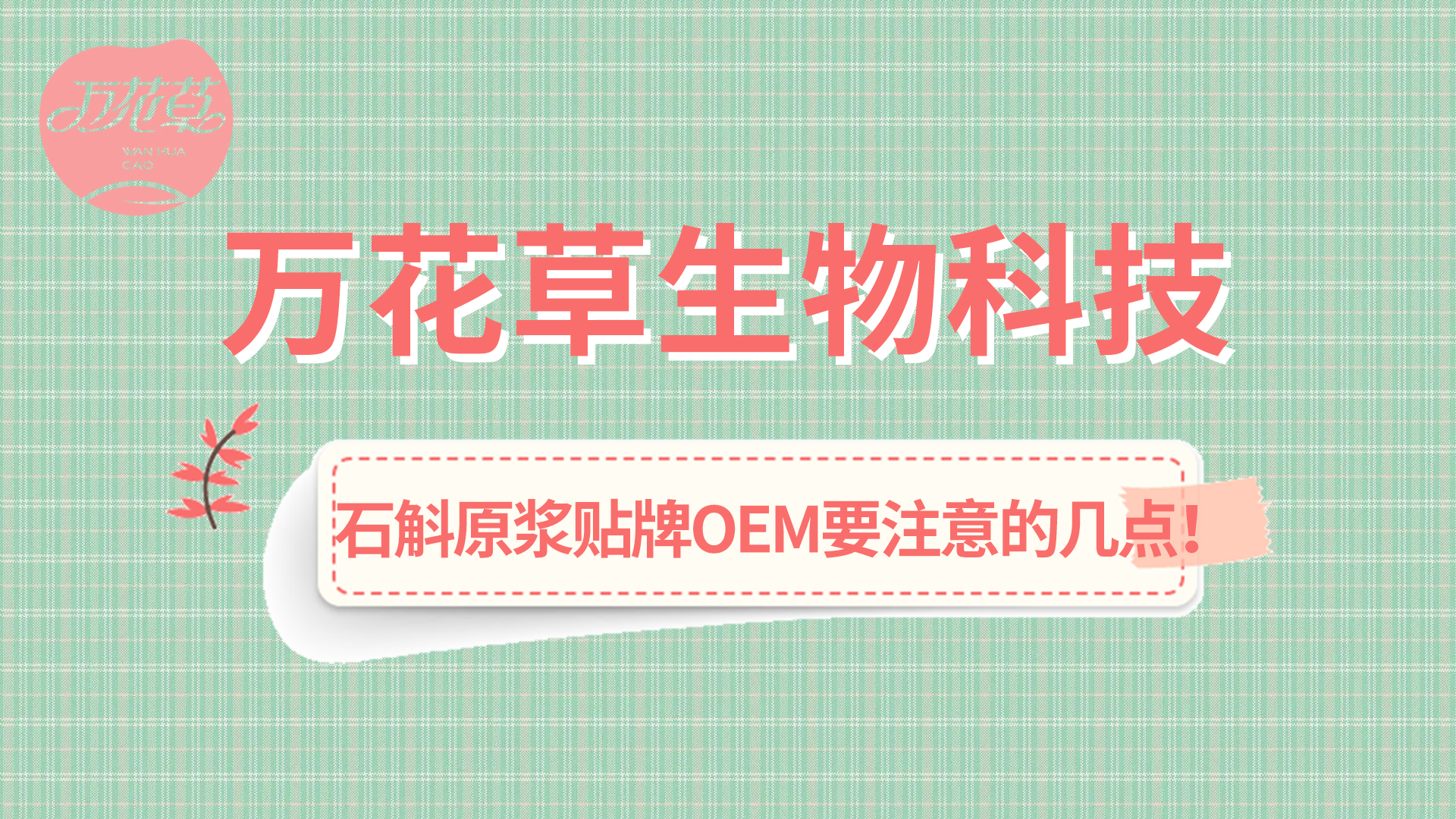 石斛原漿貼牌oem您需要注意哪幾點？